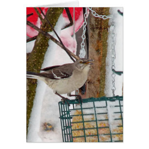 Mockingbird