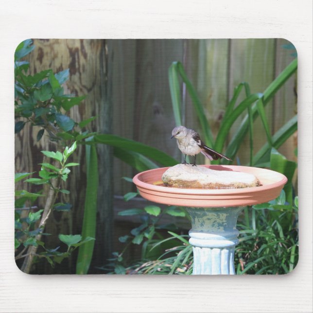 Mockingbird at Birdbath Mouse Pad (Front)