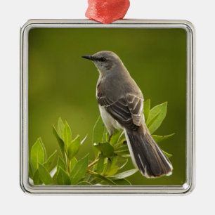 Mockingbird Bird Lovers Gifts Metal Tree Decoration