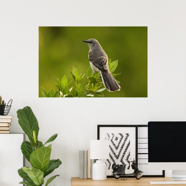 Mockingbird Bird Lovers Gifts Poster (Home Office)