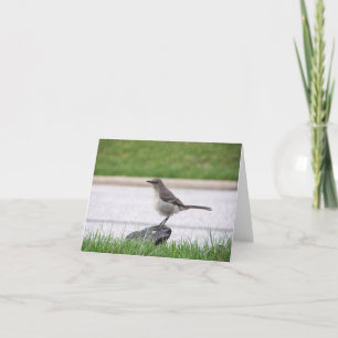 Mockingbird Card
