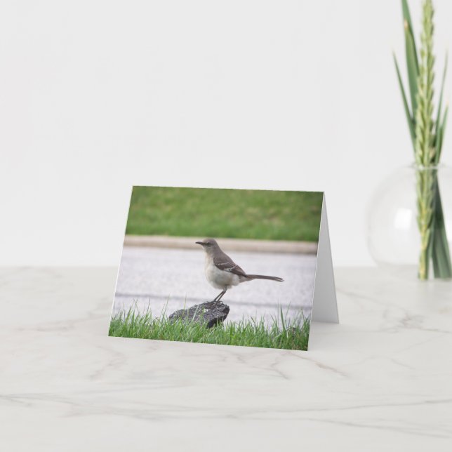 Mockingbird Card (Front)