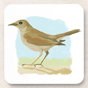 Mockingbird Coaster