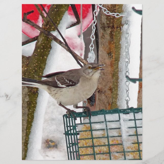 Mockingbird Custom Letterhead (Front)