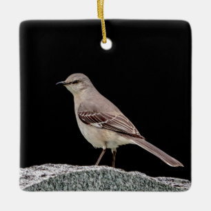 Mockingbird on a tombstone ceramic ornament