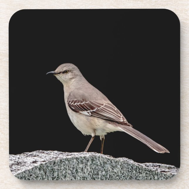 Mockingbird on a tombstone coaster (Front)