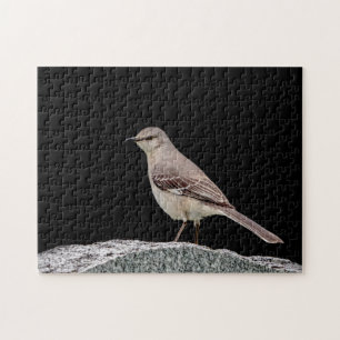 Mockingbird on a tombstone jigsaw puzzle