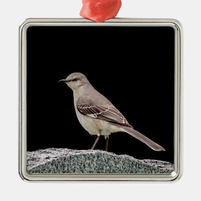 Mockingbird on a tombstone metal tree decoration (Front)
