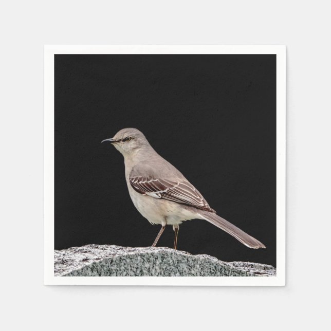 Mockingbird on a tombstone napkin (Front)