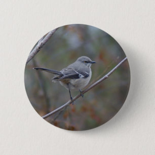 Mockingbird Ornithology 6 Cm Round Badge