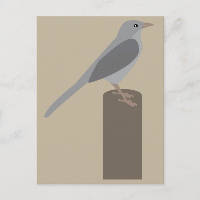 Mockingbird Postcard (Front)