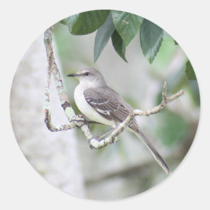 Mockingbird Round Stickers