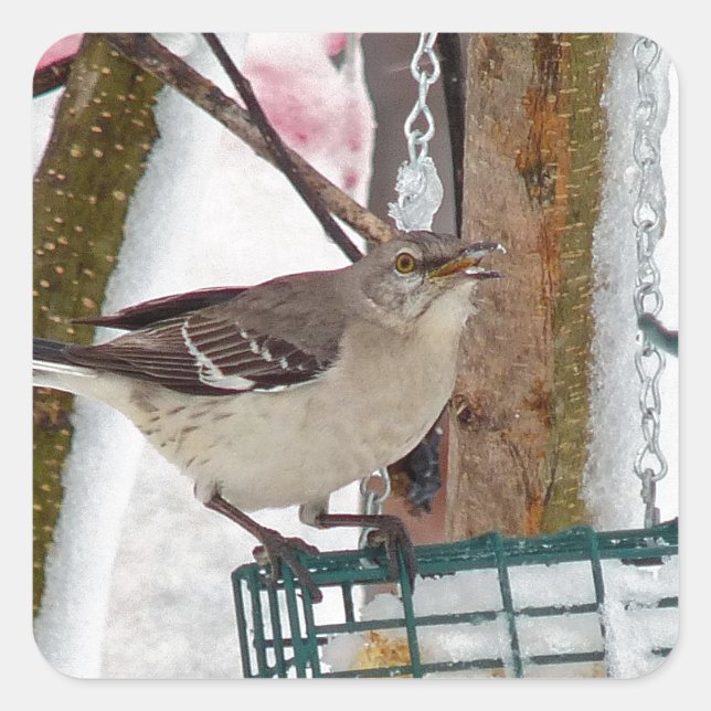 Mockingbird Square Sticker (Front)