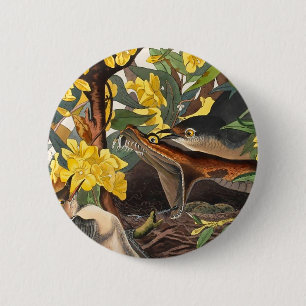 Mockingbirds, John James Audubon 6 Cm Round Badge