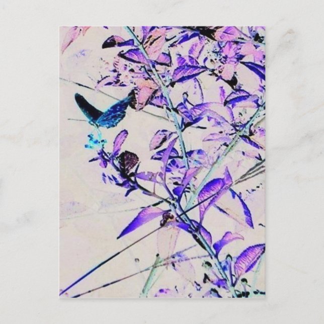 Mod Butterfly - Postcard (Front)