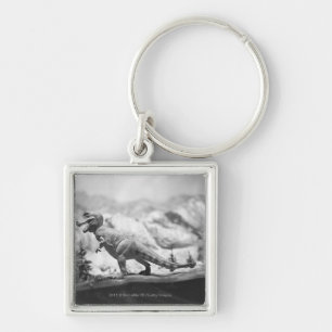 Model of tyrannosaurus rex B&W Key Ring