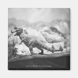 Model of tyrannosaurus rex B&W Magnet