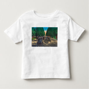 Model-T Fords on Kearney AvenueFresno, CA Toddler T-Shirt