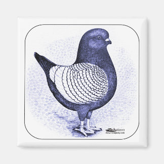 Modena Argent Magnet