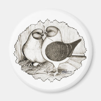 Modena Gazzi Pigeons Magnet
