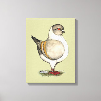 Modena Silver Gazzi Canvas Print