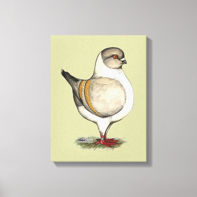 Modena Silver Gazzi Canvas Print (Front)