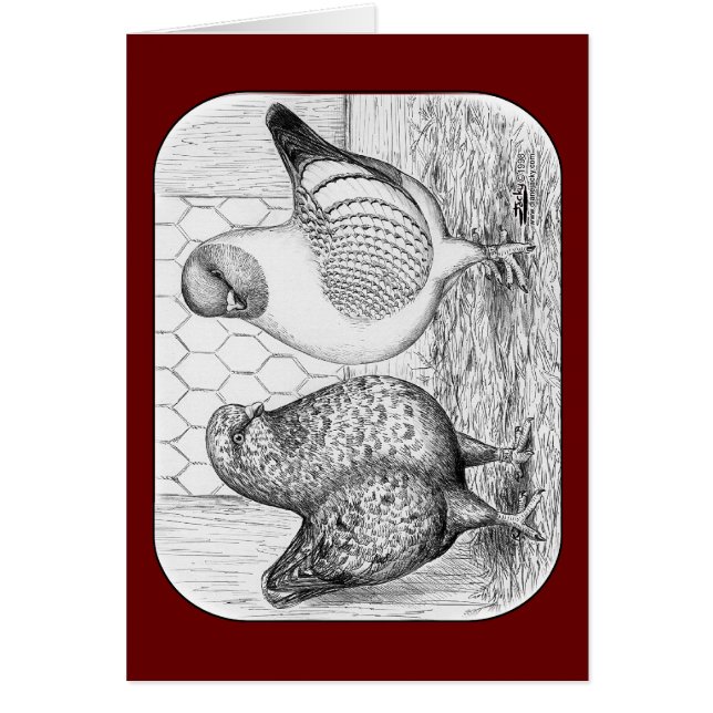 Modenas Two Pigeons (Front)