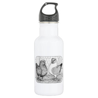 Modenas Two Pigeons 532 Ml Water Bottle