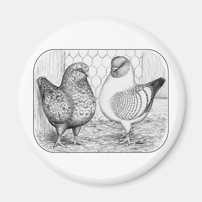 Modenas Two Pigeons Magnet (Front)