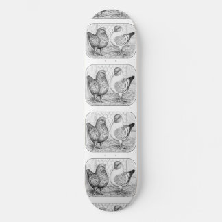 Modenas Two Pigeons Skateboard
