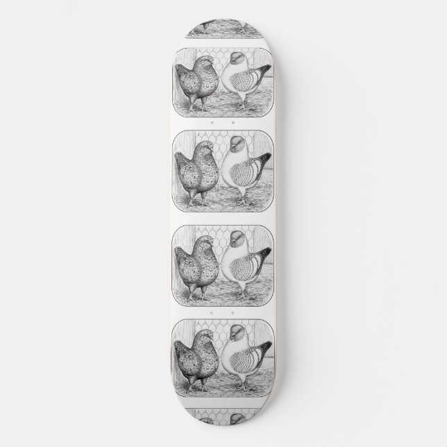 Modenas Two Pigeons Skateboard (Front)
