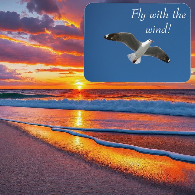 Moder Blue Seagull Photo Magnet (Magnet with Background)