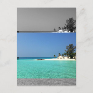 Moderate Sepia Modern Flat Images Effect Postcard