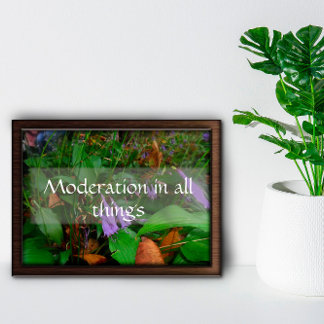 Moderation in all things wisdom saying poster