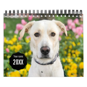 Modern 14 Photo Full Coverage Personalised Calendar