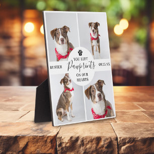 Modern 4 Photo Collage Pet Loss Dog/Cat Plaque