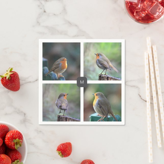 Modern 4 robin bird photos monogrammed napkin (Insitu)