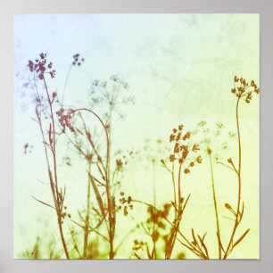 Modern Abstract Soft Pastel Wildflowers Poster