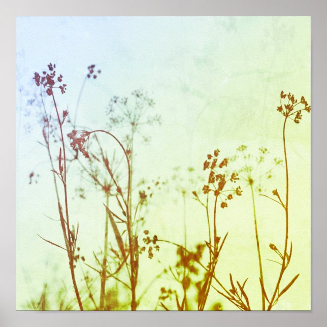 Modern Abstract Soft Pastel Wildflowers  Poster (Front)