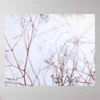 Modern Abstract Winter Wildflowers in Snow