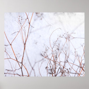 Modern Abstract Winter Wildflowers in Snow Poster