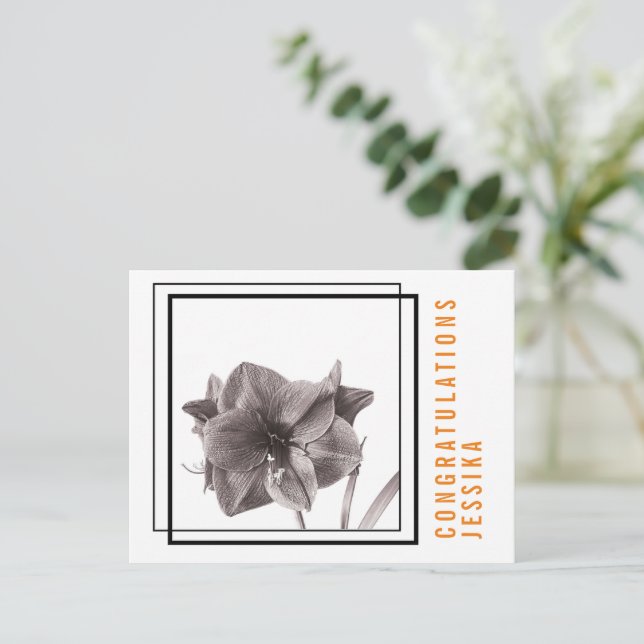 Modern Amaryllis Flower Orange  Postcard (Standing Front)