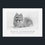 Modern And Simple Photo Pet Thanks Vet Nurses<br><div class="desc">Let your pet say thank you to the doctors,  veterinarians and nurses that took care of them</div>