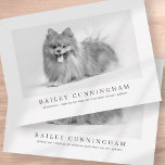 Modern And Simple Photo Pet Thanks Vet Nurses Thank You Card<br><div class="desc">Let your pet say thank you to the doctors,  veterinarians and nurses that took care of them</div>
