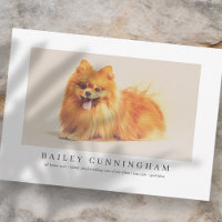 Modern And Simple Photo Pet Thanks Vet Nurses