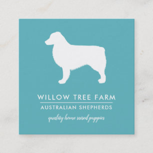 Modern Australian Shepherd Breeder Social Media Square Business Card
