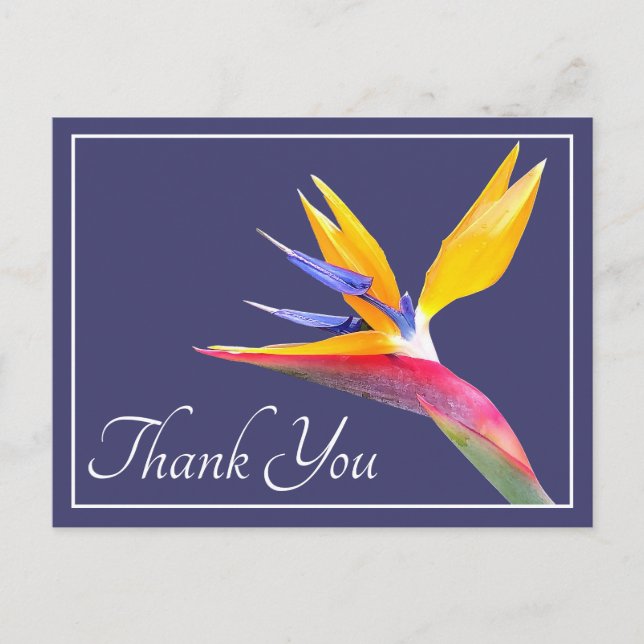 Modern Beautiful Bird of Paradise Floral Thank You Postcard (Front)