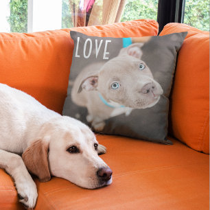 Modern Bestie Photo Pet Dog  Friends Love Heart Cushion