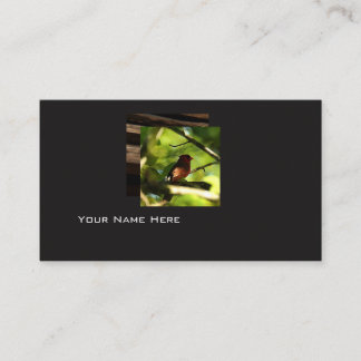 Modern Bird business card