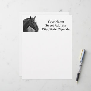 Modern Black and White Horse Custom Letterhead